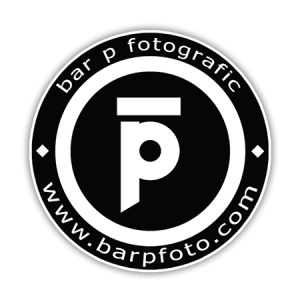 Will Pattison YouTube Channel