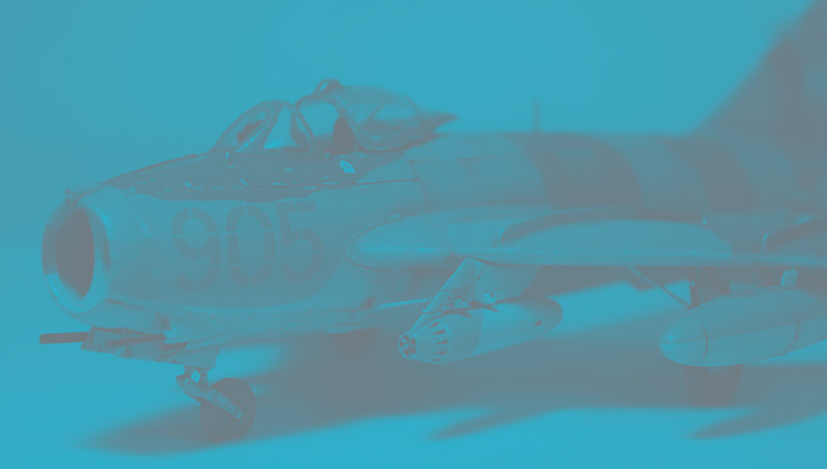 Mig-17 Hobby Boss Scale Model